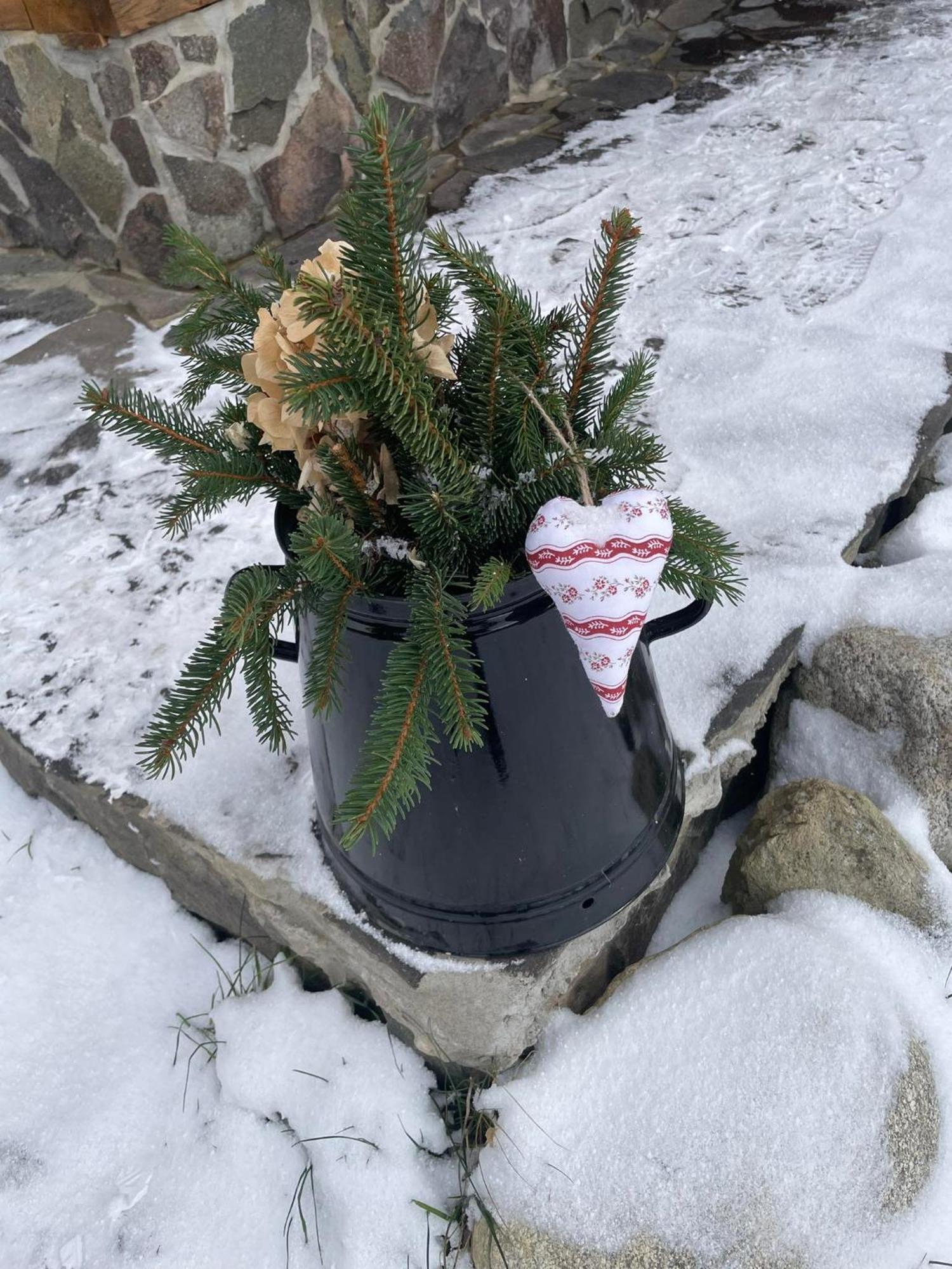 דירות Žiar Drevenica Zapadne Tatry S Kupacou Kadou A Krbom מראה חיצוני תמונה