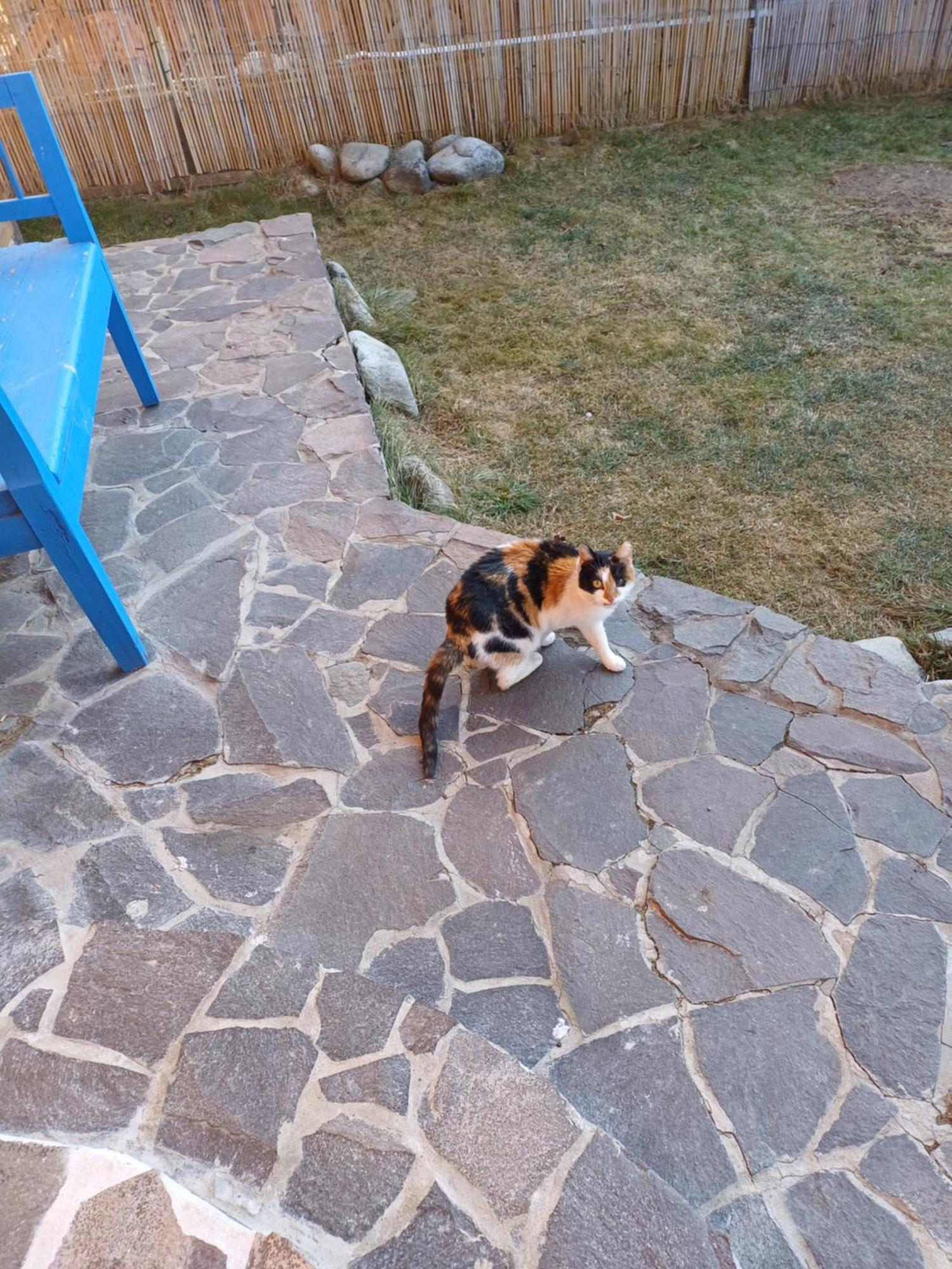 דירות Žiar Drevenica Zapadne Tatry S Kupacou Kadou A Krbom מראה חיצוני תמונה